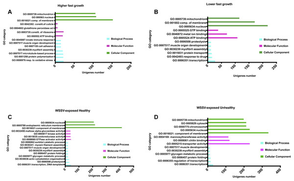 Main Gene Ontology blastX hits for unigenes with SNPs.