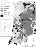 Revisiting historical beech and oak forests in Indiana using a GIS ...