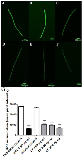 Effect of C. fistula extract on intracellular ROS levels in C. elegans.