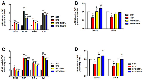 Effects of resveratrol treatment on the target mRNA expression in SAT and VAT.