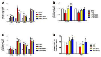 Resveratrol reduces the inflammatory response in adipose tissue and ...