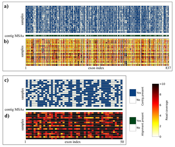 Overview of sequence yield for Geonoma sample data, produced with SECAPR.