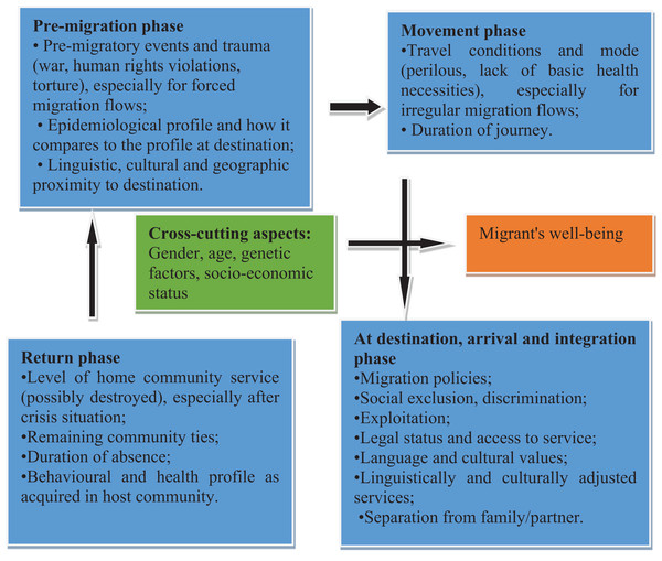 Social determinants of migrant health at all stages of the migration process (modified from IOM, 2018b).