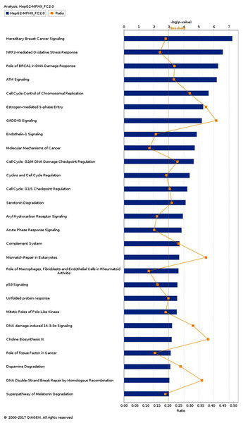 Microarray gene expression profiling in colorectal (HCT116) and ...