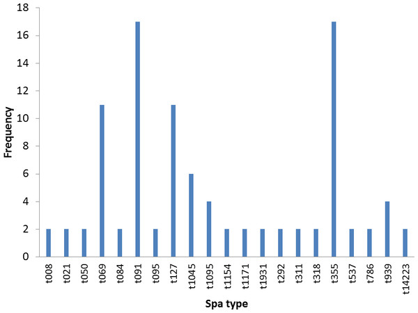 Frequency of spa types in 47 S. aureus isolates.