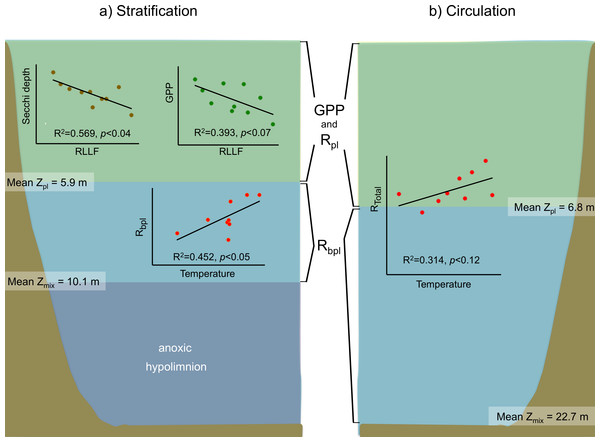 Schematic representation of the functional water layers, the main processes and relations occurring in Valle de Bravo in the stratification and circulation periods during 2006–2015.