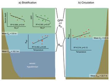 Metabolism in a deep hypertrophic aquatic ecosystem with high water ...