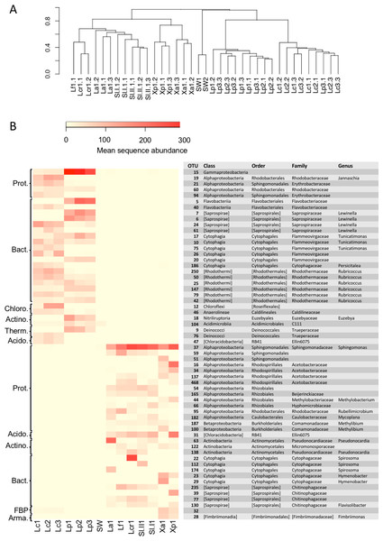 Beta diversity of bacterial communities associated with the lichens or seawater assessed by Bray Curtis dissimilarity and average linkage clustering.
