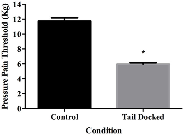 Least square means and standard error for pressure pain threshold in tail docked (n = 133) and control cows (n = 31).