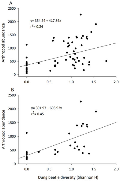 Correlation of the diversity of dung beetles to total arthropod abundance in cattle dung pats.
