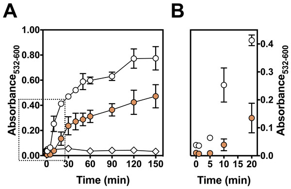 Effect of persimmon extract on lipid peroxidation kinetics.