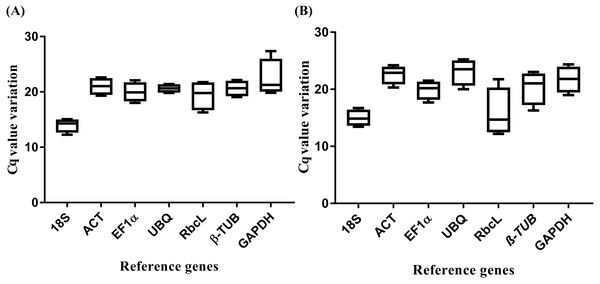Threshold cycle (Ctq) values of seven candidate reference genes.