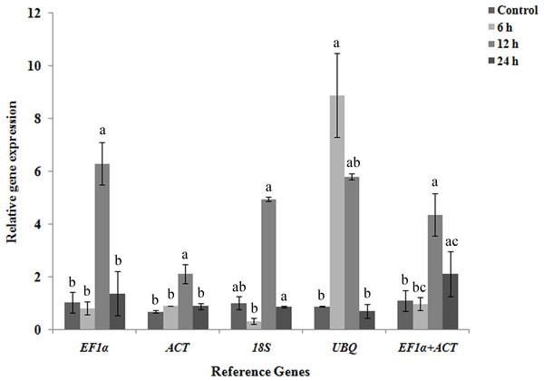 Validation and normalization of target NHX gene of R. apiculata under salt stress at four different time-course such as 0, 6, 12 and 24 h using EF1 α, ACT, 18S and UBQ reference genes.