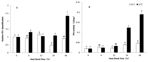 Cloning, purification and characterization of trehalose-6-phosphate ...