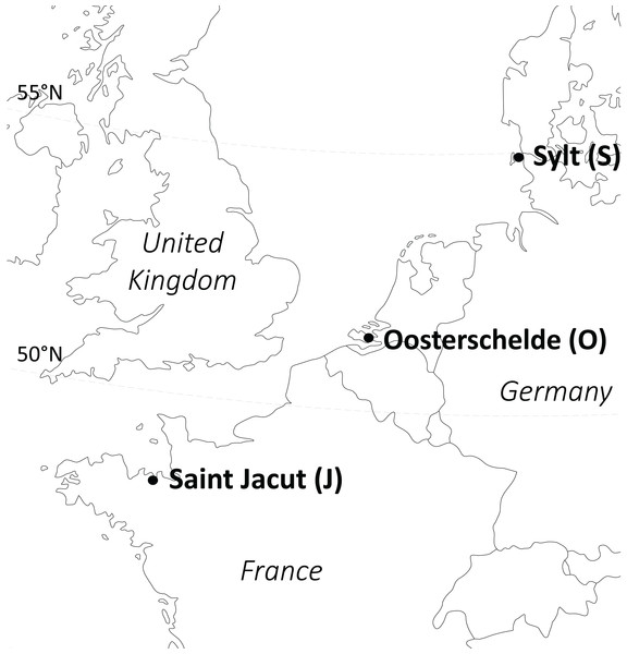 Origin of the Zostera noltii plants used in the experiments (experiment 1: only Oosterschelde, experiment 2: all three populations).