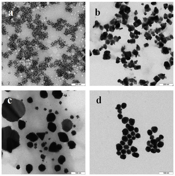 TEM of Ag and Au nanoparticles.