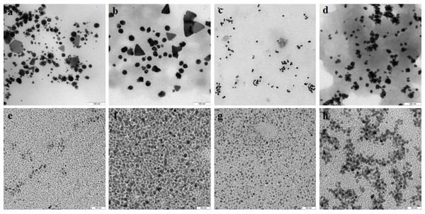 TEM of Au and Ag nanoparticles.