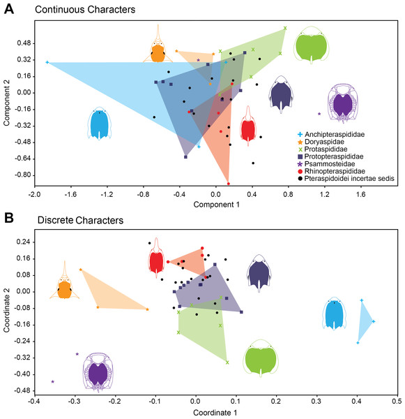 Morphospace exploration for continous and discrete characters in pteraspidiformes heterostracans.