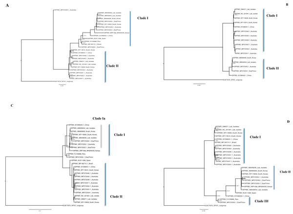 Consensus of trees sampled in a Bayesian analysis of the whole genome phylogenetic tree.