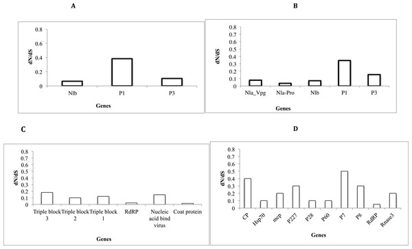 Selection pressure within sites of the coding region of viral gene fragments determined by assessing the average synonymous and non-synonymous (dN/dS) using SLAC that were plotted against each gene segment.