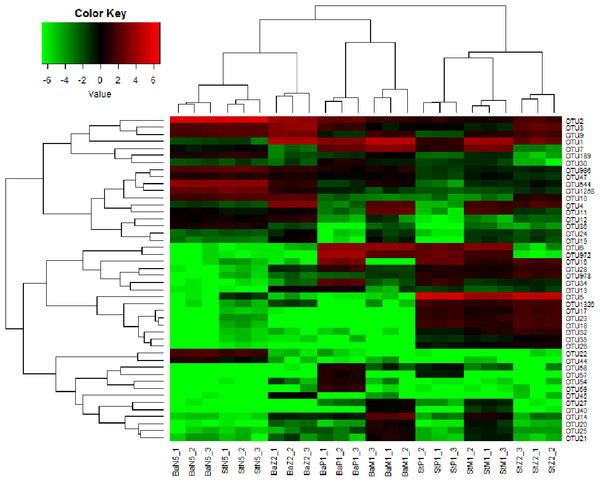 Heat map of cluster relations of kit-based replicates and dominant OTU-based taxa of microbiota associated with L. vannamei N5, Z2, M1, and P1 samples, extracted with Ba or St kits.