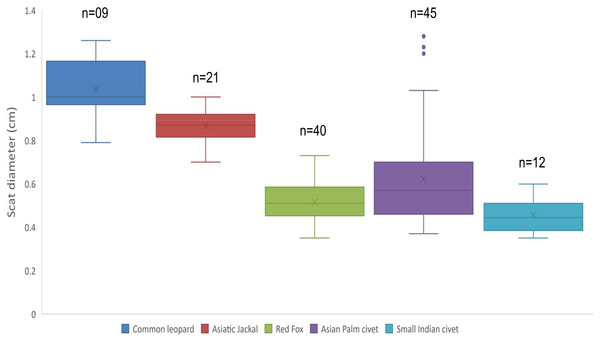 Scat diameter of sympatric carnivore species at Pir Lasura National Park, Azad Jammu and Kashmir, Pakistan.