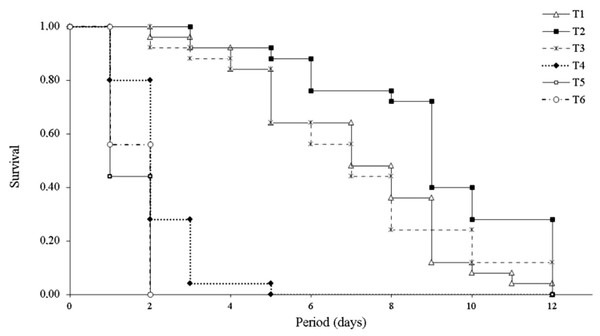 Survival (days) of Leptocybe invasa (Hymenoptera: Eulophidae) females reared with different diets.
