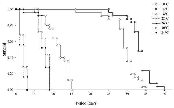 Survival (days) of Leptocybe invasa (Hymenoptera: Eulophidae) females at different temperatures.