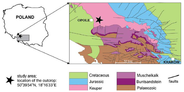 Localization and geological map of Krasiejów (simplified fragment after Dadlez, Marek & Pokorski, 2000).