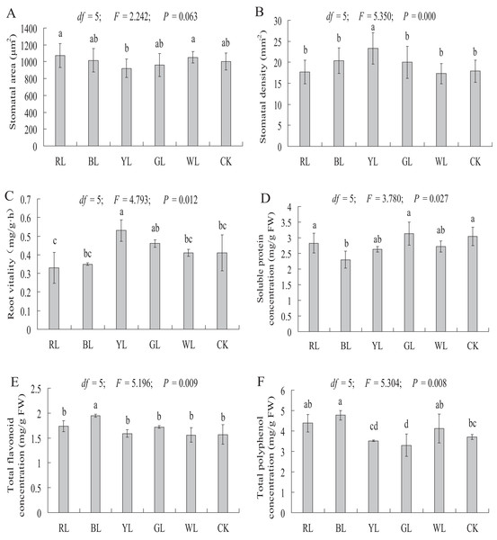 Effects of supplemental lighting with different light qualities on stomatal area (A), stomatal density (B), root vitality (C), soluble protein (D), total flavonoid content (E), total polyphenol content (F) of A. roxburghii.