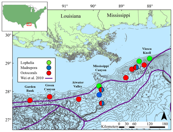 Map of study locations in the northern Gulf of Mexico, with soft-sediment deep-sea infaunal community zonation from Wei et al. (2010).