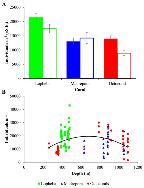 Macrofaunal density at deep-sea coral habitats.