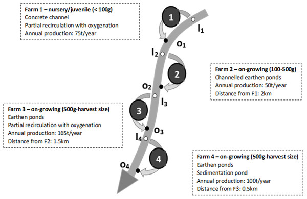 Schematic representation of the river, the four studied fish farms and of the associated monitoring points (inlets and outlets).