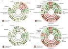 Variation in the leaf and root microbiome of sugar maple (Acer ...