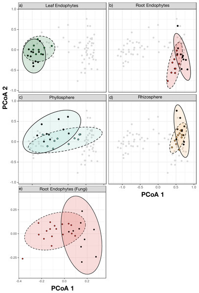 Principal Coordinate Analysis (PCoA) on Bray–Curtis dissimilarities of bacterial (A–D) and fungal (E) communities at sugar maple’s normal elevational range and at elevational range limit.