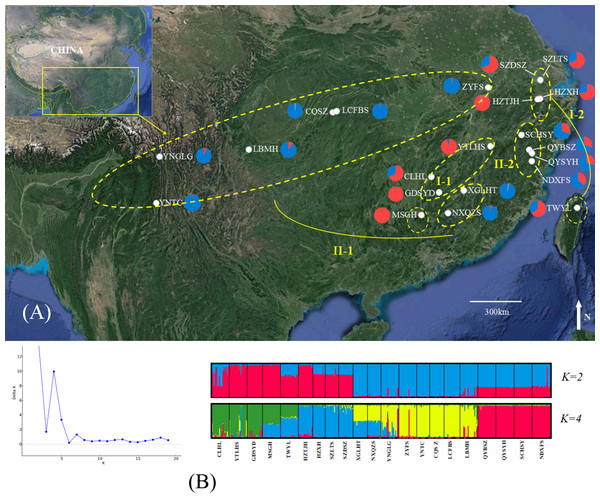 Genetic structure of B. schreberi populations in China.