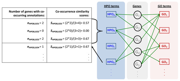 Representation of the initial HPO-GO mapping process.