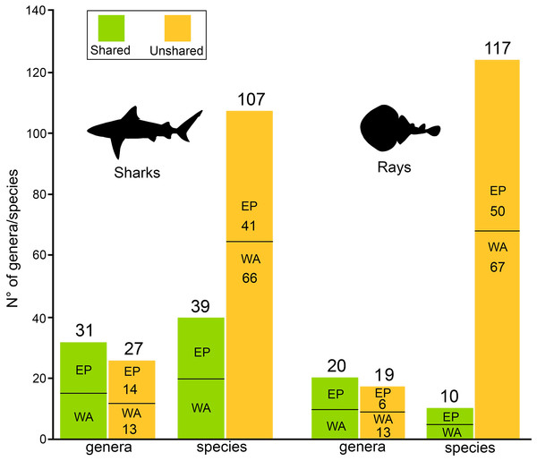 Shared/unshared shark and ray genera and species in Eastern Pacific and Western Atlantic sides of Tropical America.
