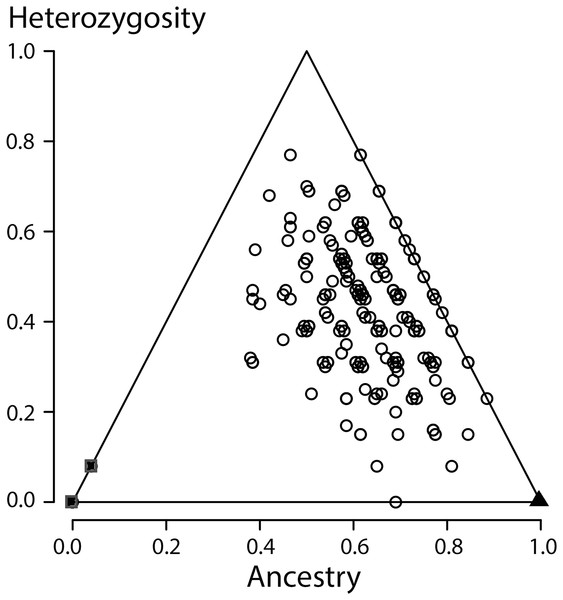 Ancestry versus heterozygosity plot based on 13 species diagnostic nuclear genetic markers.