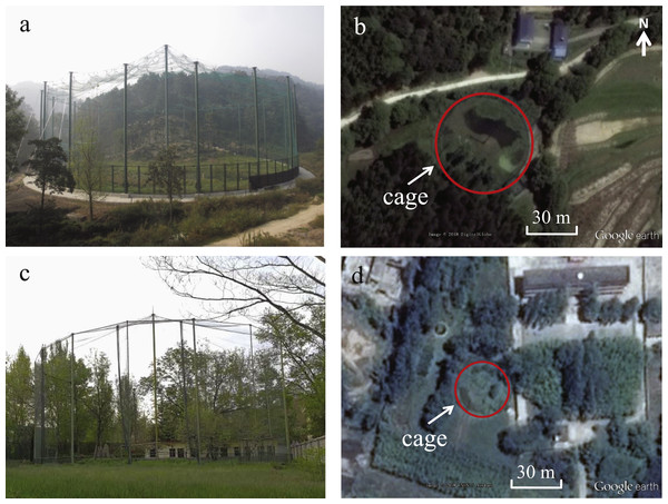 Photos and images showing the size and surroundings of the acclimation cages used as test sites at DZ (A and B) and TC (C and D).