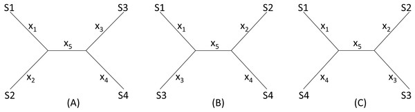 Topologies for illustrating distance imputation, with three possible unrooted topologies designated (A), (B) and (C) for four species labelled S1–S4.
