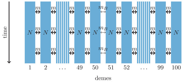 One-dimensional model of a barrier to gene flow in a nearest-neighbor stepping-stone environment with 100 demes.