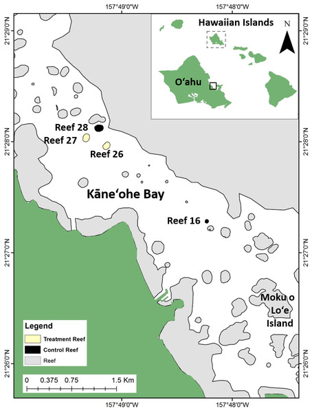 Study site location in Kāne‘ohe Bay on the windward side of the island of O‘ahu, Hawai‘i, proximate to Moku o Lo‘e (Hawai‘i Institute of Marine Biology).