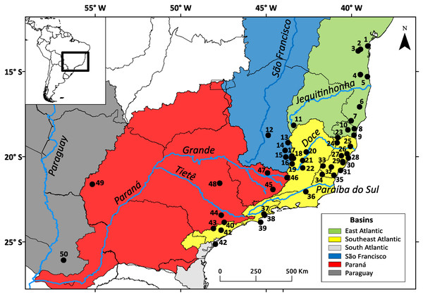Geographic distribution of the Nectomys squamipes samples.