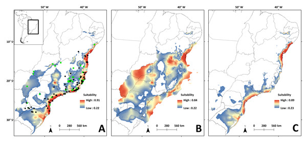 Species distribution models for the river basins where N. squamipes occurs.