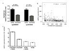 TNFRSF10C methylation and TNFRSF10C expression.