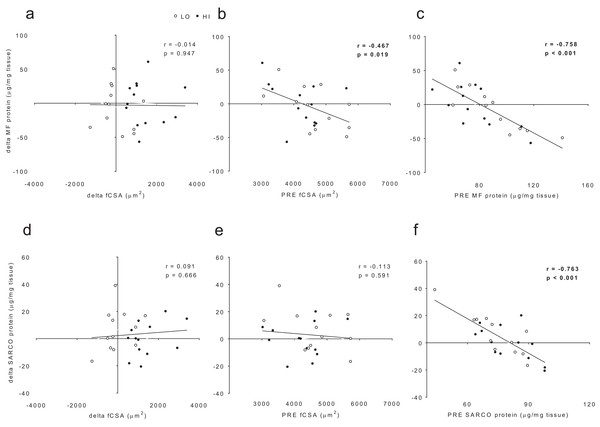 No significant association existed between delta (POST—PRE) myofibrillar (MF) protein concentrations and delta muscle fiber cross sectional area (fCSA) levels (A).