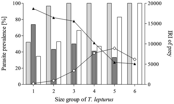 Parasite prevalence and prey importance in the size groups of T. lepturus.