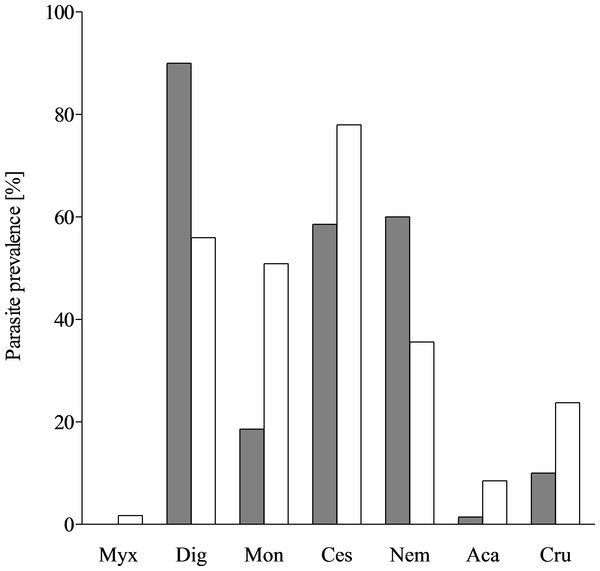 Parasite prevalence in T. lepturus and N. tripes.