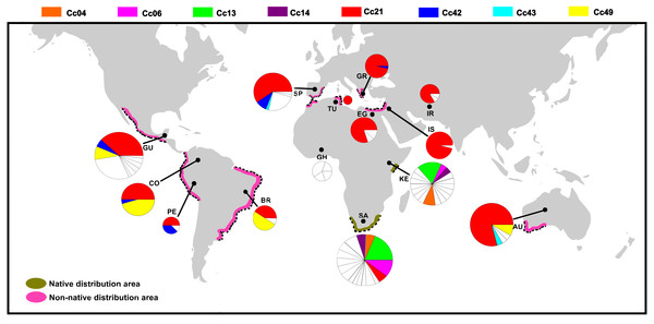 Distribution of COI haplotypes across the study area for Ceratitis capitata.